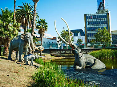 Free Attractions in Los Angeles